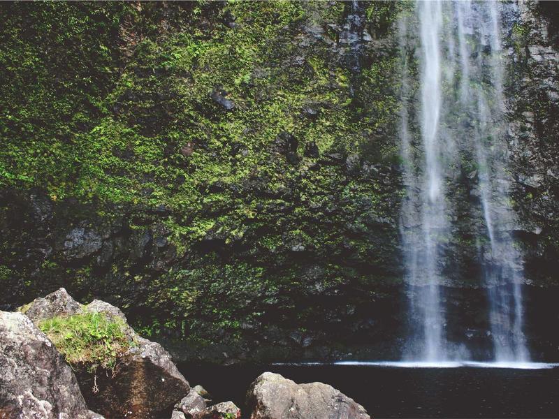 sudoku family game screenshot 5